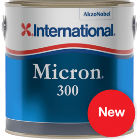 Micron 300