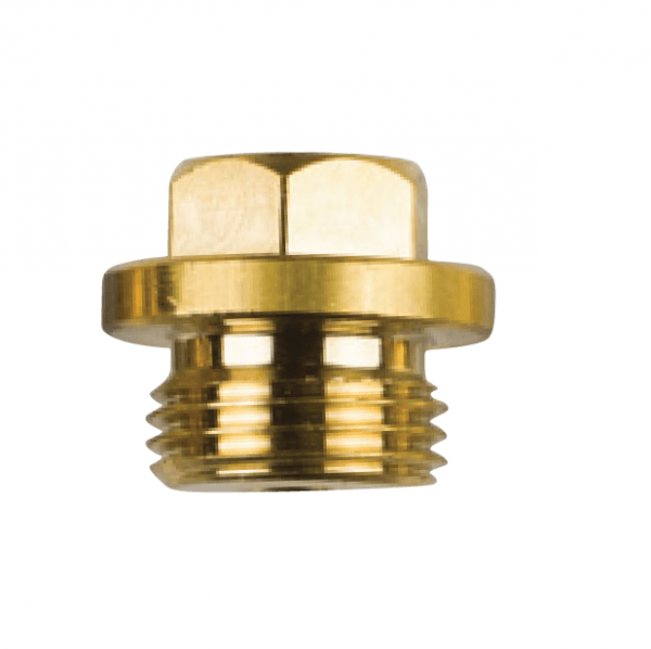 02201tp Ruggerini Brass Plug